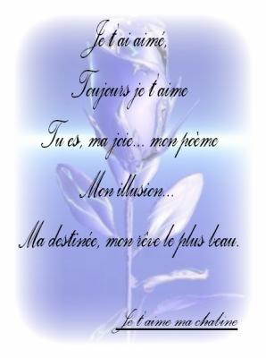 aimer